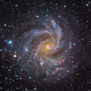 Meet your Posher, Starrz